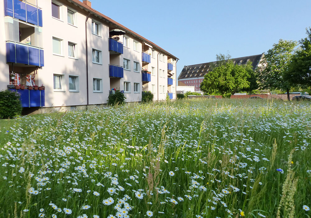 Ökologische Projekte der GEWOG Bayreuth